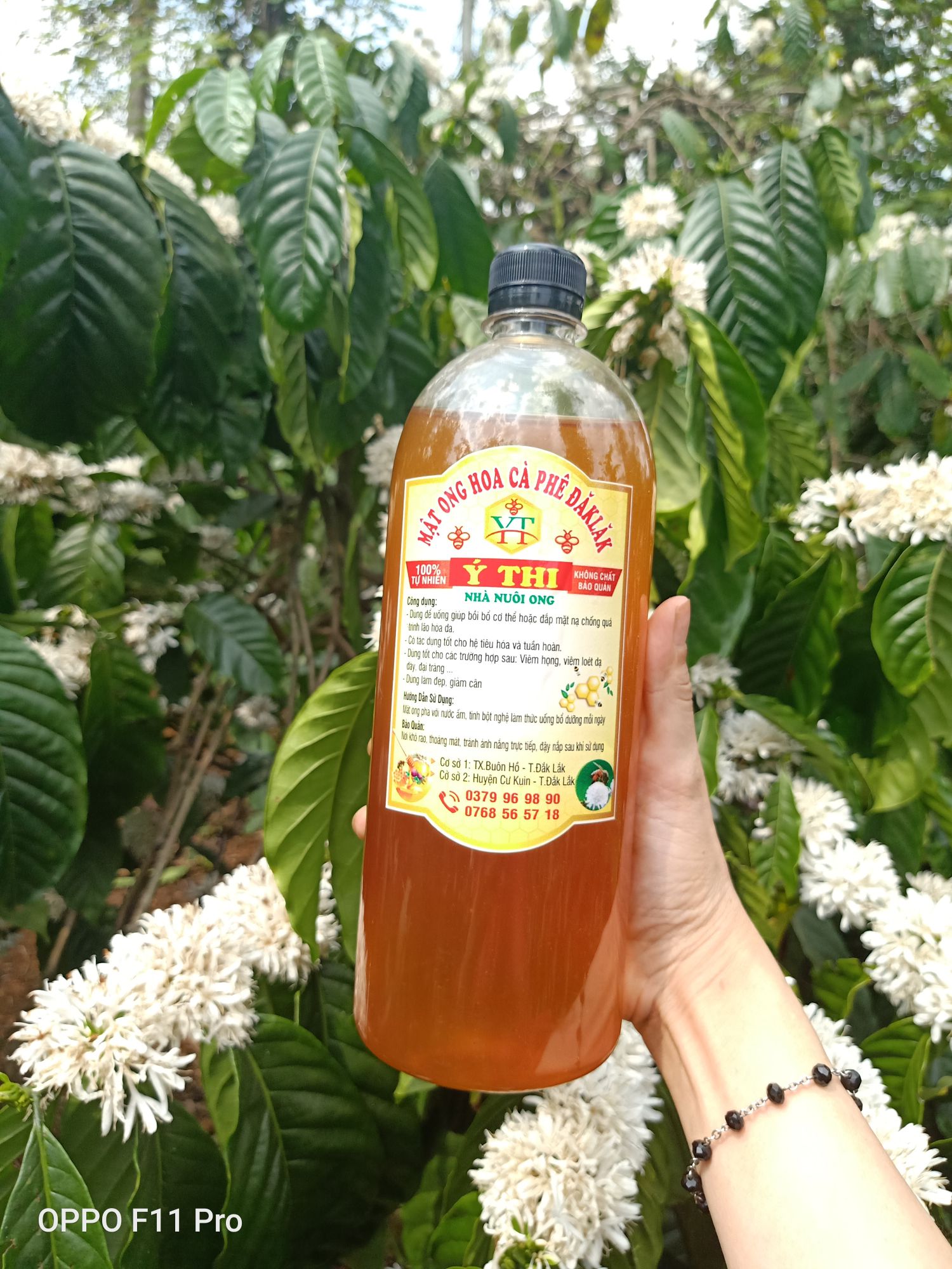 1 lit mật ong Hoa Cà phê loại đặc biệt