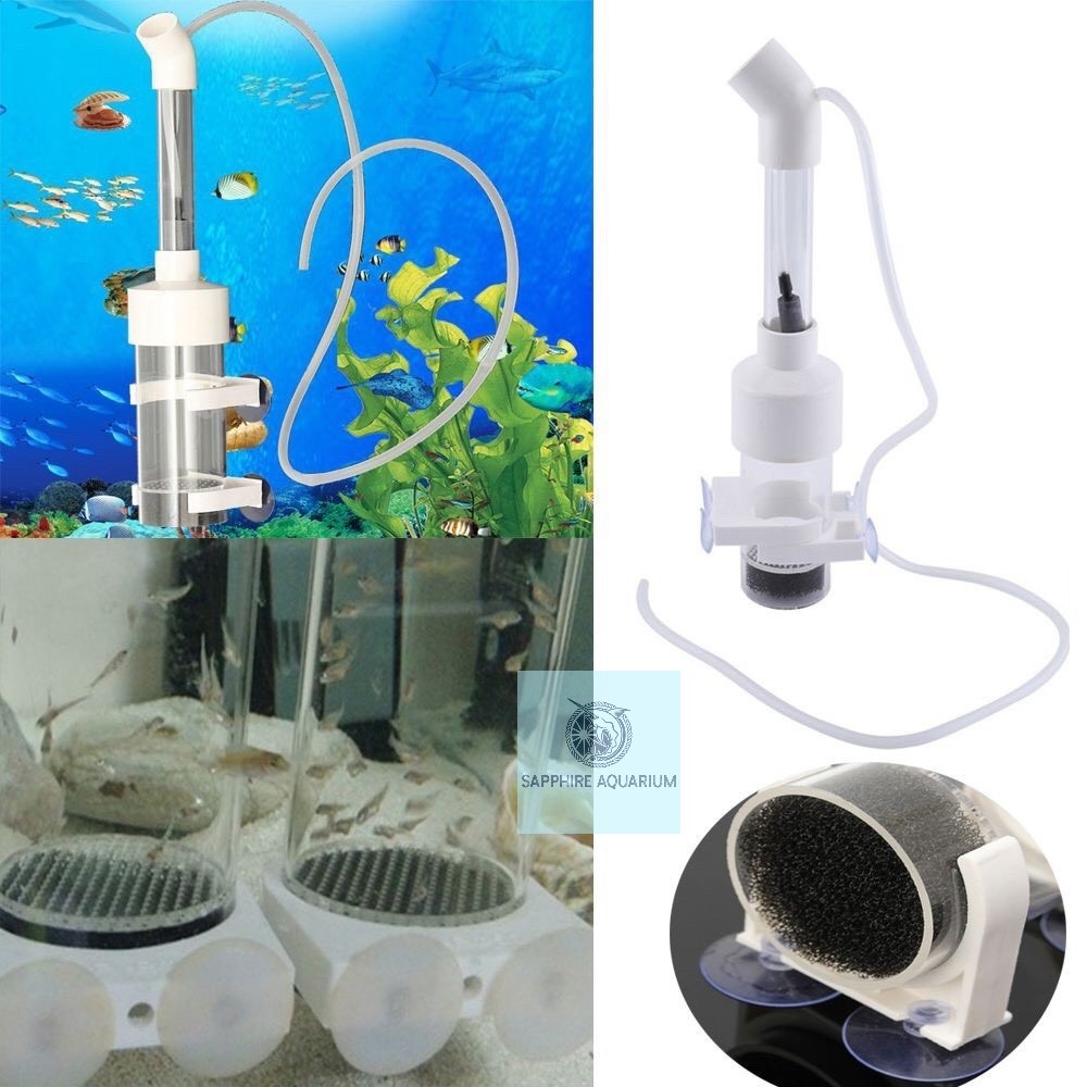 Lồng ấp trứng cá Cichlids Fish Egg Incubator Ø50