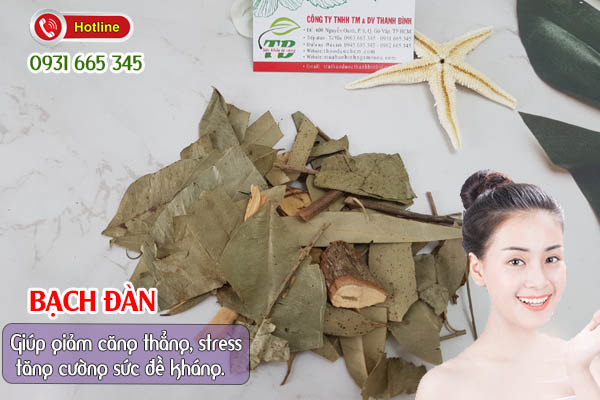 Bạch Đàn Khô Loại Cao Cấp 100g - Thảo Dược Thanh Bình