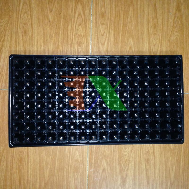 Bộ 5 khay ươm cây, khay ươm hạt, vỉ ươm (128 lỗ)(Đen)