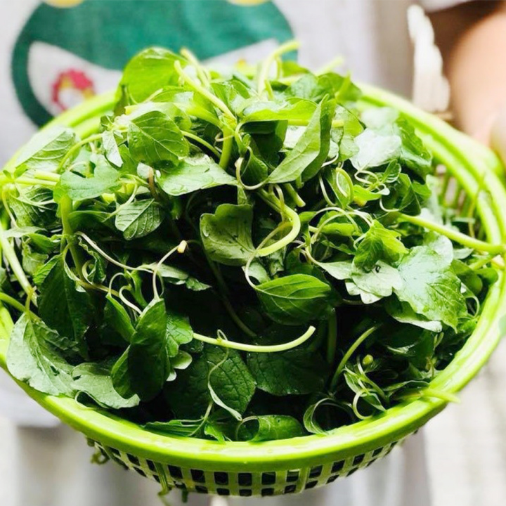 [HCM]Hạt giống Rau Dền Cơm Dễ Trồng
