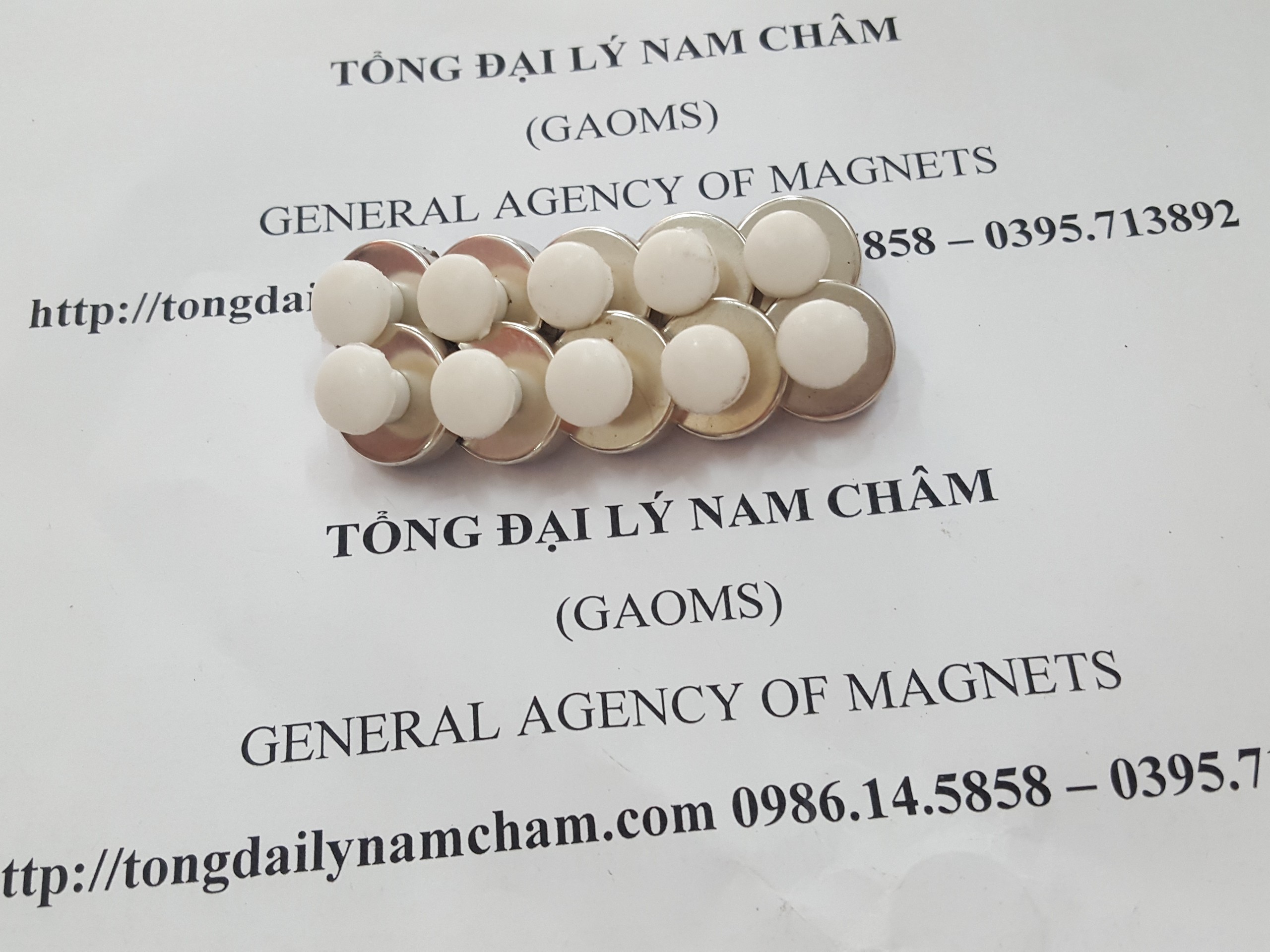 Nam châm đính bảng D16mm, có núm trắng- 20 cái
