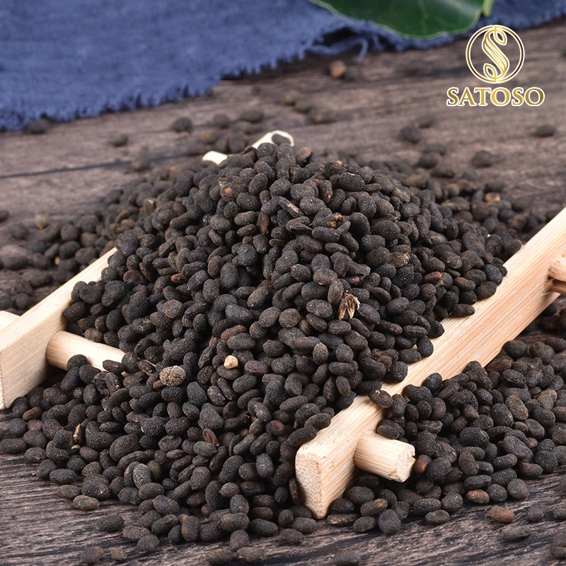 Phá Cố Chỉ khô thượng hạn thương hiệu SATOSO
