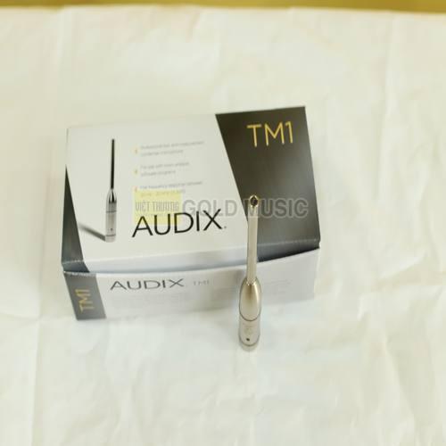 Micro Audix TM1