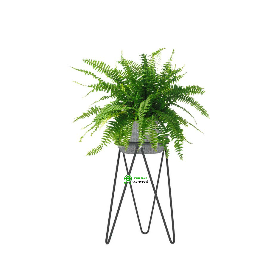 [HCM]Đôn kê chậu cây sắt 3 chân C40cm