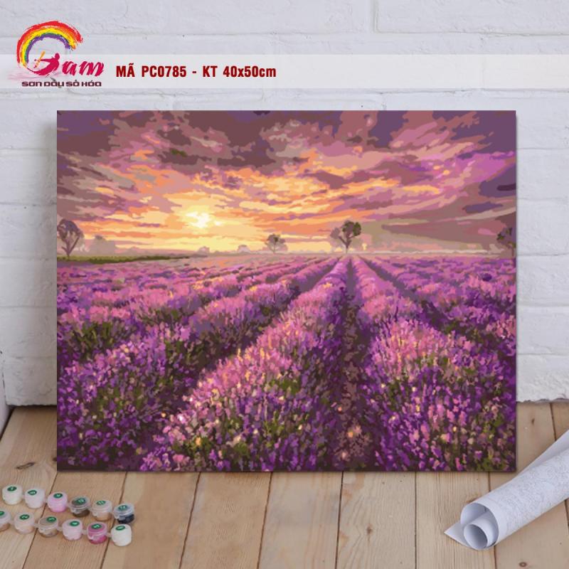 Tranh sơn dầu số hóa tô màu theo số Gam Tranh phong cảnh cánh đồng hoa oải hương lavender màu tím PC0785