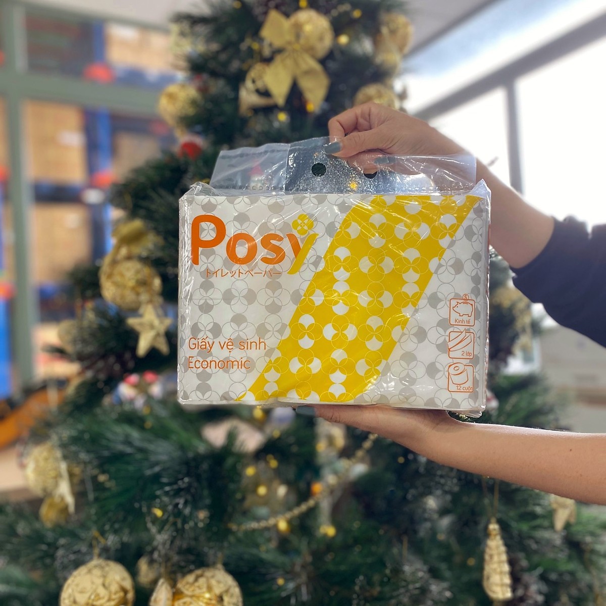 Giấy vệ sinh Posy Economic 2 lớp 12 cuộn/túi