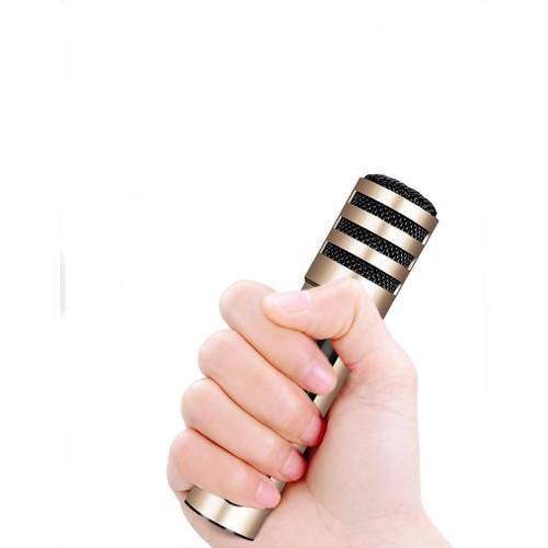 Mic Karaoke Live stream C6 3 in 1