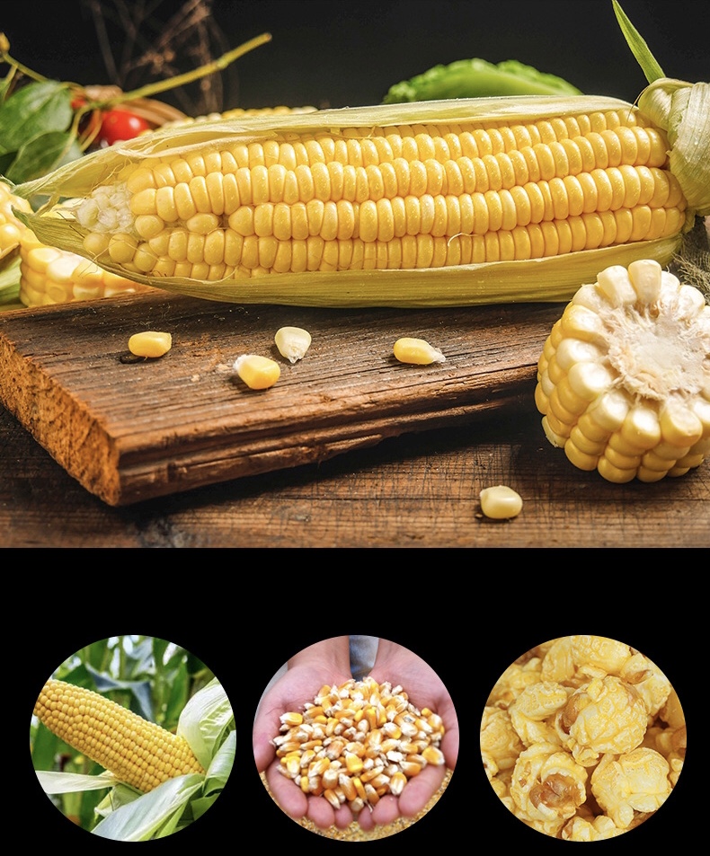 [3 Vị] Bắp Rang Bơ Khổng Lồ Popcorn Chai 258gr