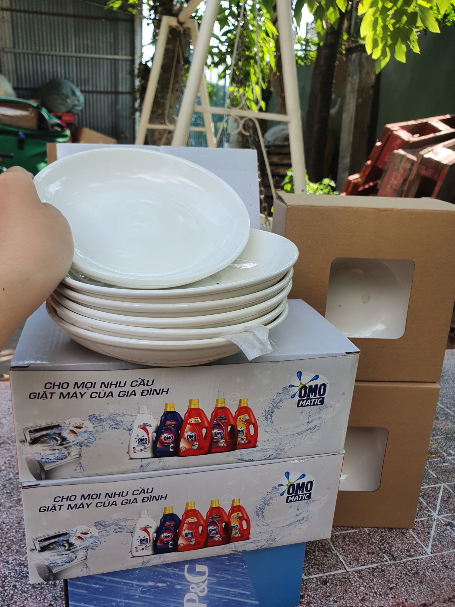Combo 10 dĩa sứ trắng dày đẹp