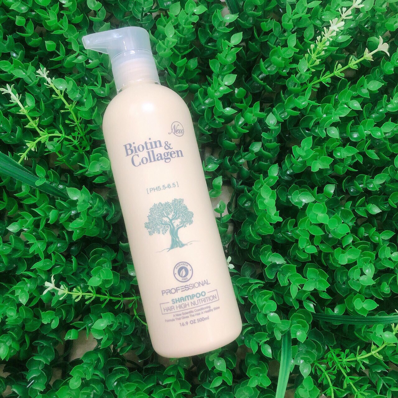 Dầu gội phục hồi kích thích mọc tóc YuiluiM Biotin & Collagen Shampoo 500ml