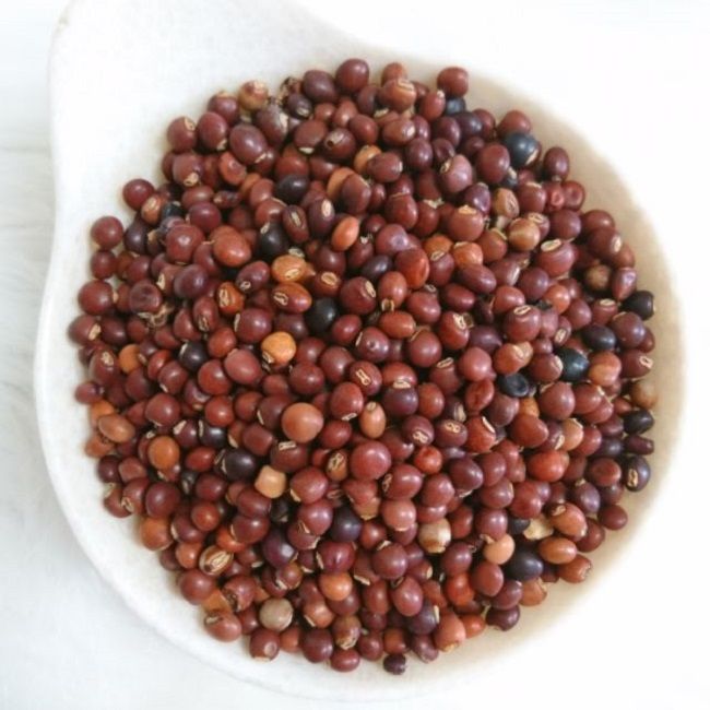 "Gói 20Gram Hạt " Hạt giống đậu săng - đậu chiều