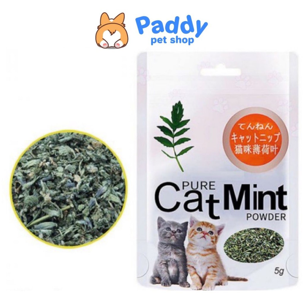 Cỏ Mèo Bạc Hà Thư Giãn Cho Mèo Catmint/Catnip