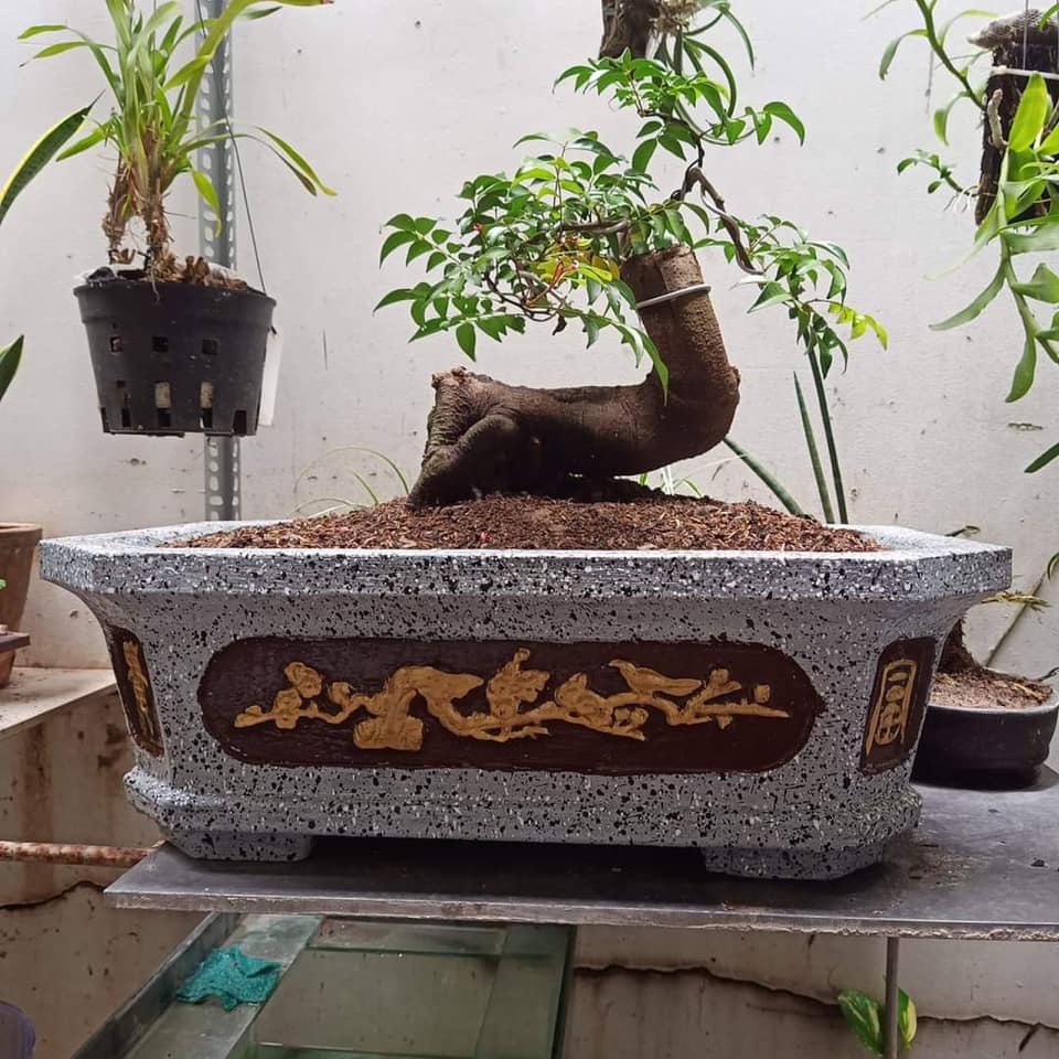 khuôn đúc chậu cảnh chữ nhật 45 (khuôn chậu ABS có lòng trong)