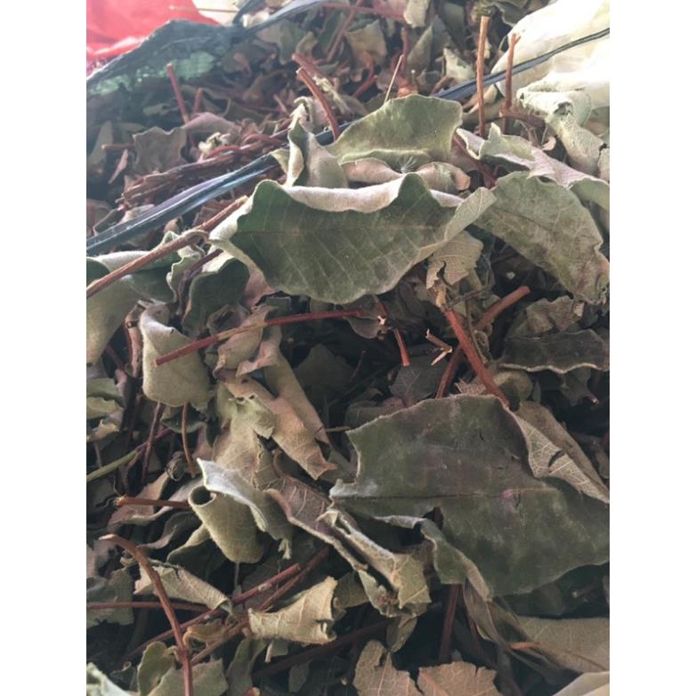 Lá Cây Hà Thủ Ô Đỏ khô sạch (dây + lá)