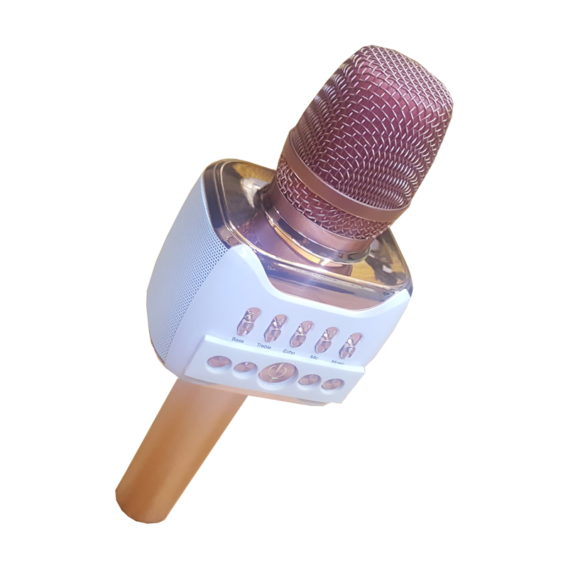 [HCM]Micro hát Karaoke Prosing Q38