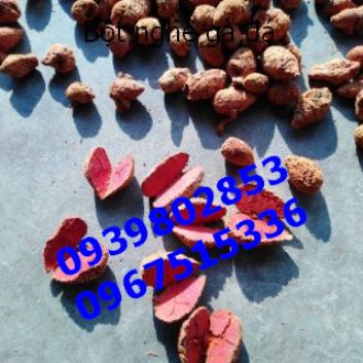Nghệ đỏ củ cho gà đá 1 ký