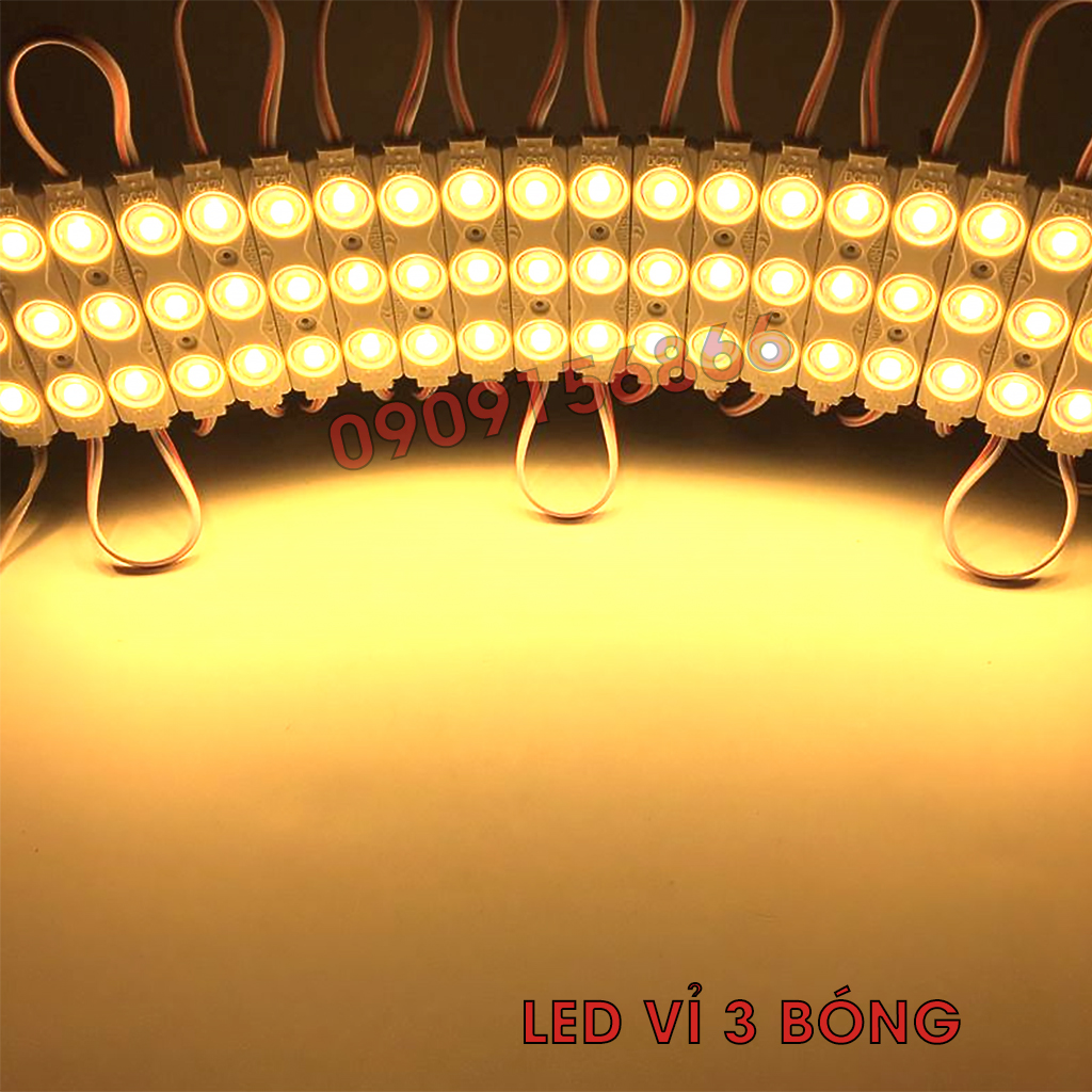 Đèn Led hắt 3 bóng 6011 điện 12v (20 bóng / vỉ)