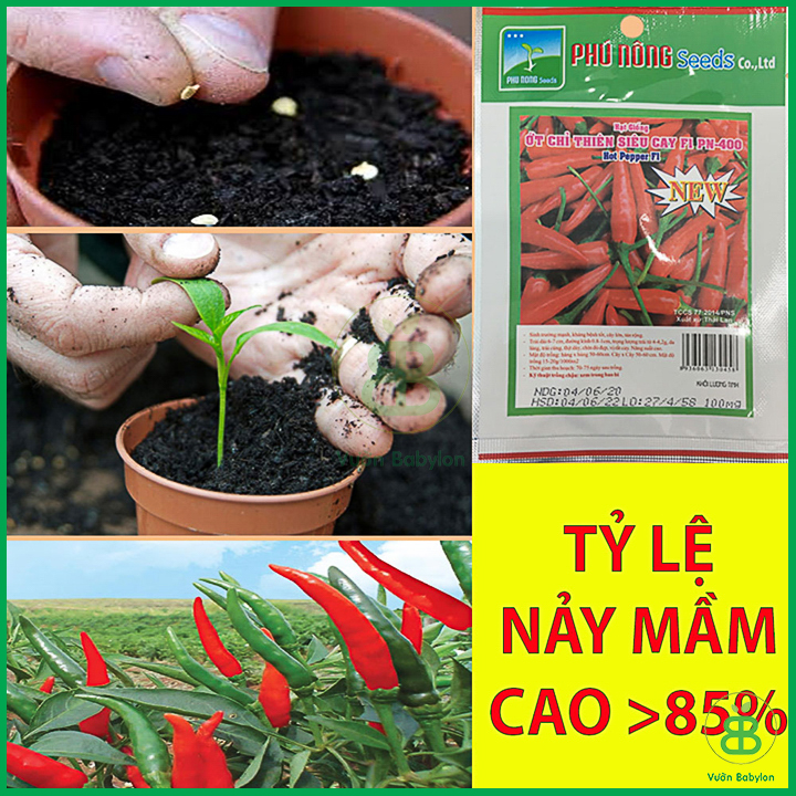 Hạt Giống Ớt Chỉ Thiên Siêu Cay