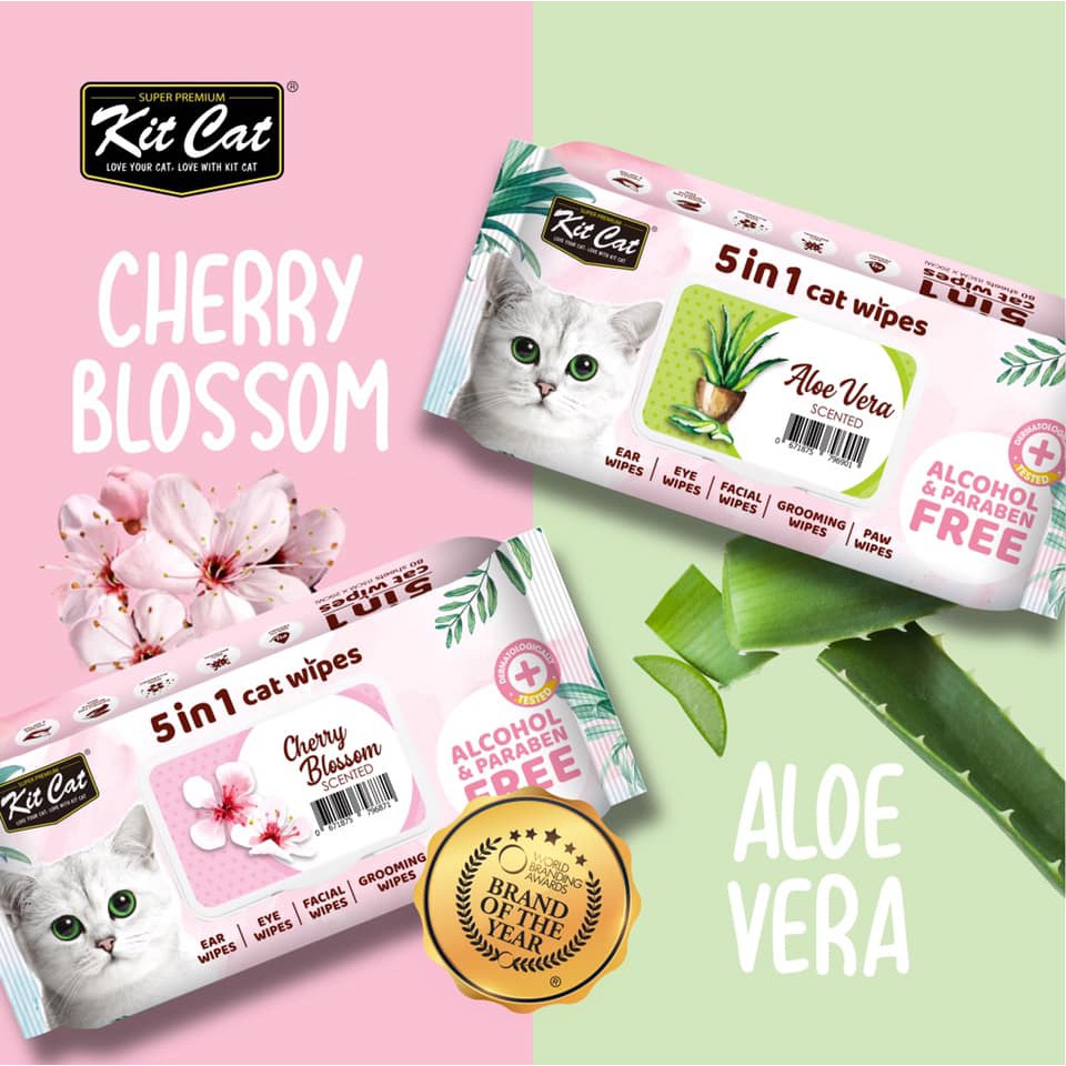 Khăn ướt kháng khuẩn vệ sinh cho mèo Kitcat