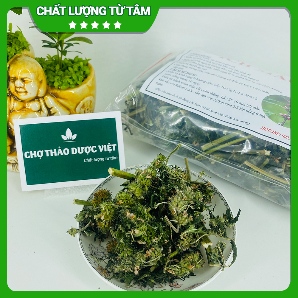 Ích mẫu khô 1kg, hỗ trợ điều hòa kinh nguyệt, bổ huyết, giảm đau bụng kinh, cân bằng nội tiết