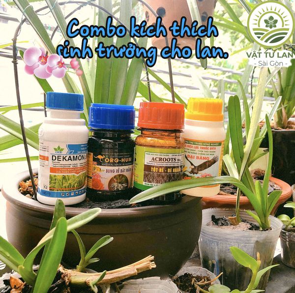 [HCM]Combo kích thích sinh trưởng 4 sản phẩm cho Lan