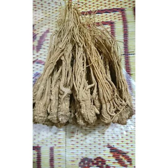 1kg sâm quy khô nguyên củ