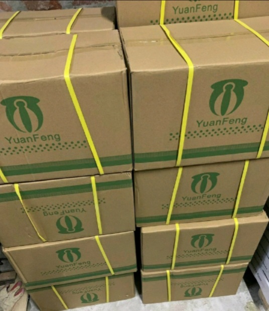 KEO DÁN ĐA NĂNG PJ 77 (DÁN MÚT XỐP) LỌ 600ml