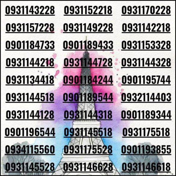 [HCM]Sim phong thủy 10 số đầu 09 phong thủy