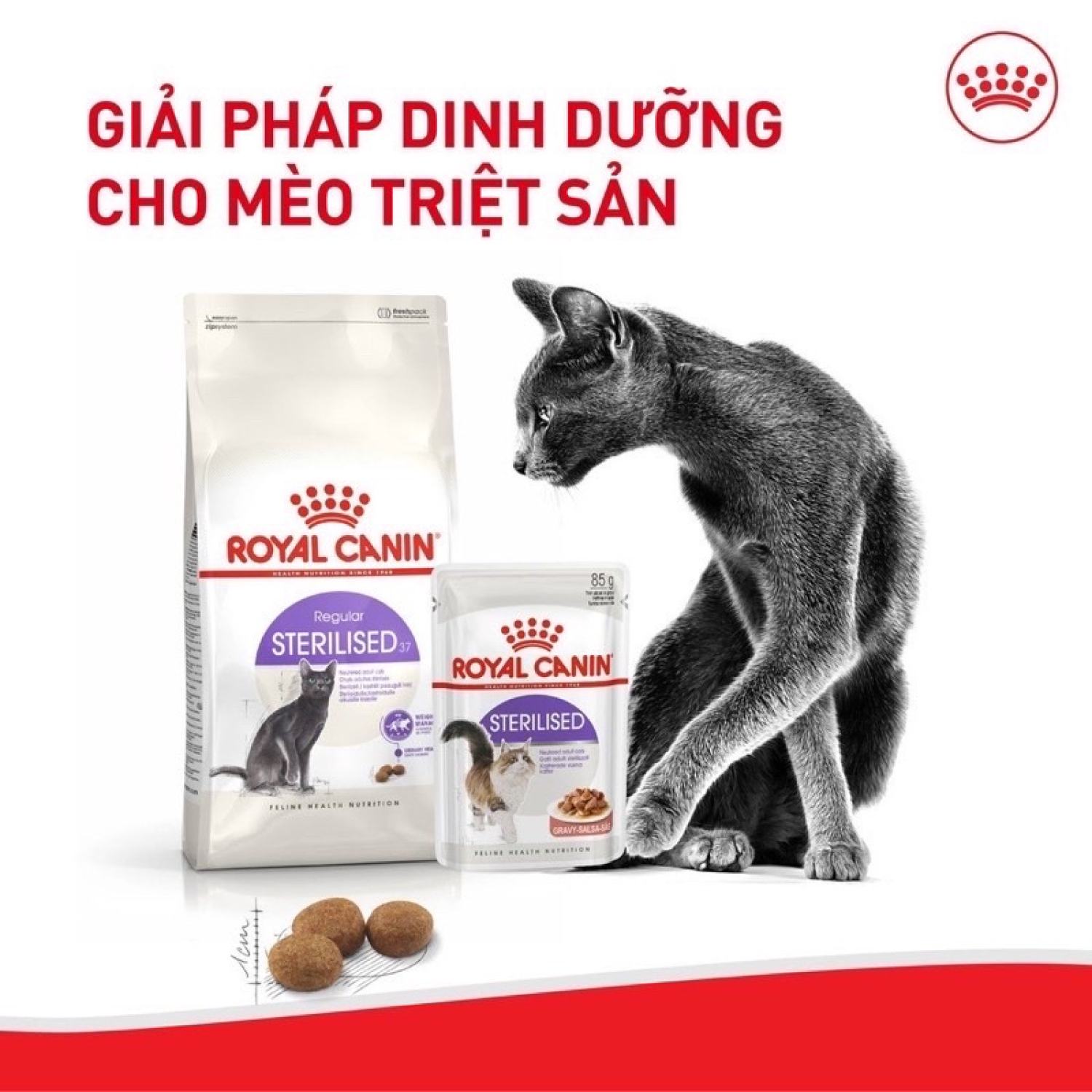 [ 2kg zin ] Hạt Royal Canin Strrilised cho mèo triệt sản 🐈‍⬛