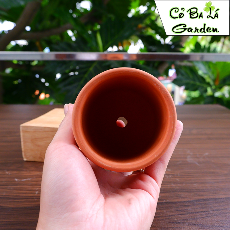 Chậu đất nung trụ ( Đất Đỏ )