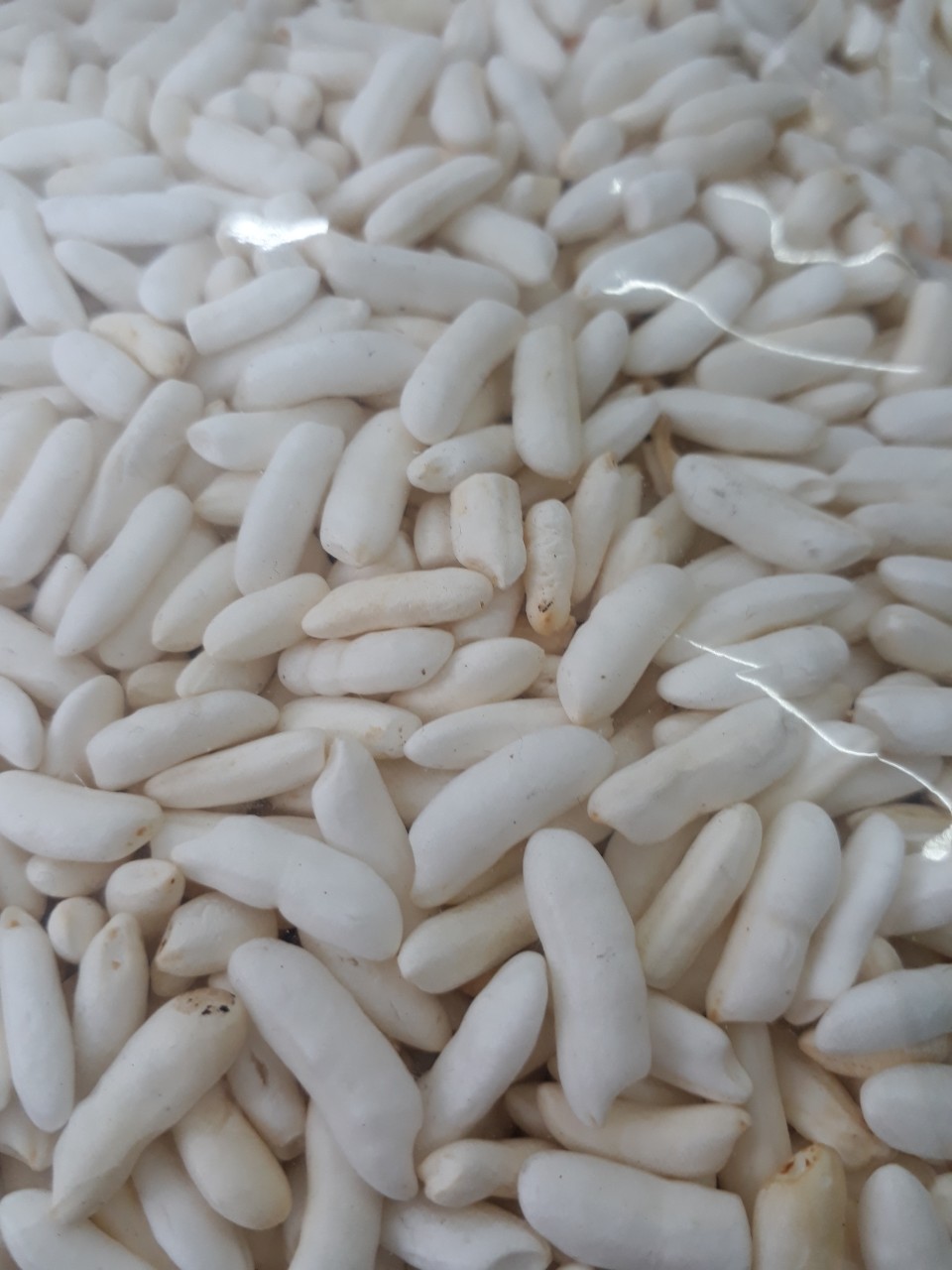 Bánh cốm 500g cho hamster