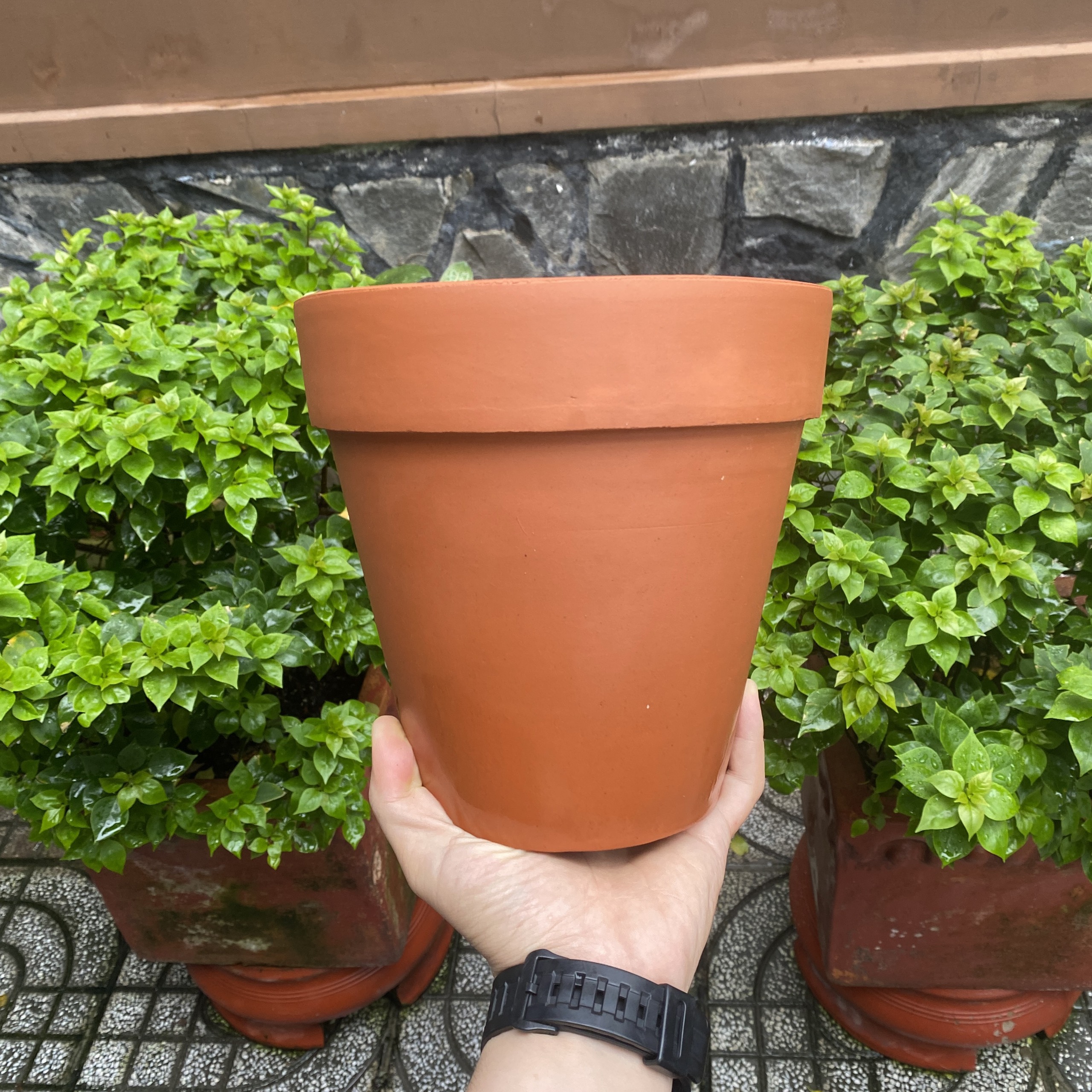 Chậu đất nung - Chậu trồng sen đá, xương rồng, cây để bàn - Chậu ly miệng 20cm, cao 20cm