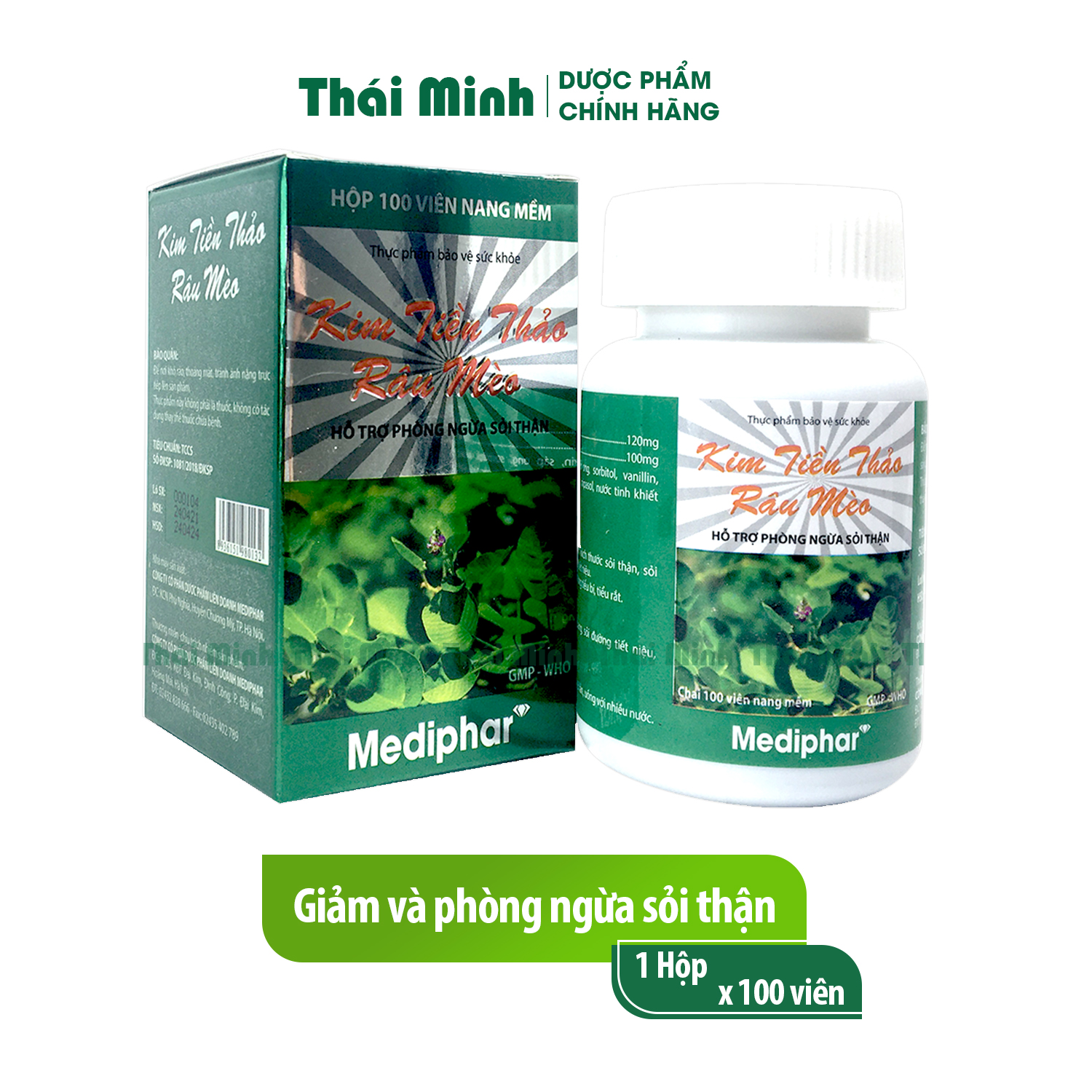 Kim tiền thảo râu mèo Hộp 100 viên hỗ trợ điều trị sỏi thận tán sỏi