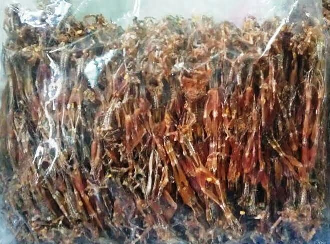 Vũ nữ chân dài - 500g khô nháii