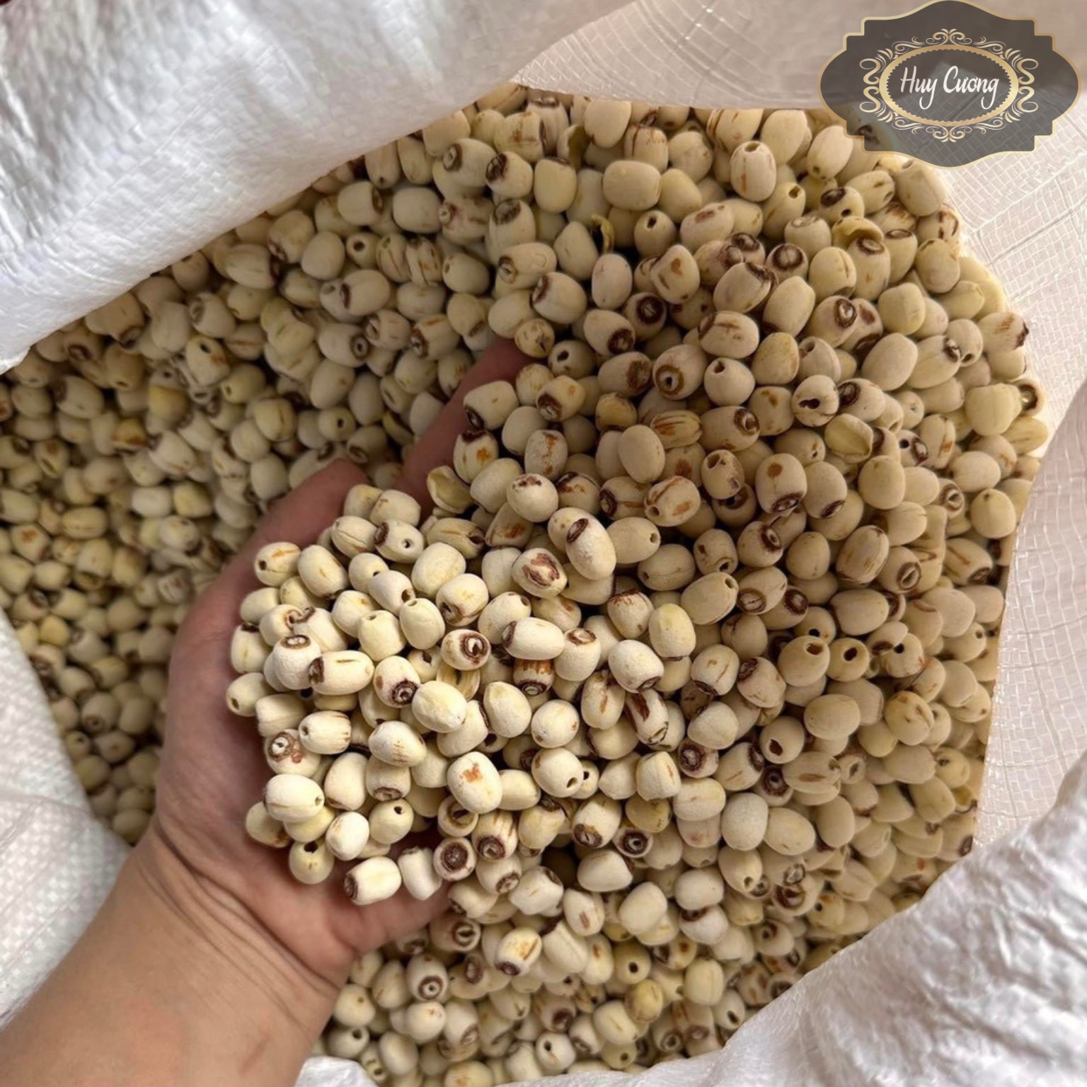 Hạt sen khô huế loại 1 ngon thơm bở, trà hạt sen sấy khô hữu cơ giúp ngủ ngon dễ ngủ, nấu chè, nấu sữa, ăn dặm cho bé