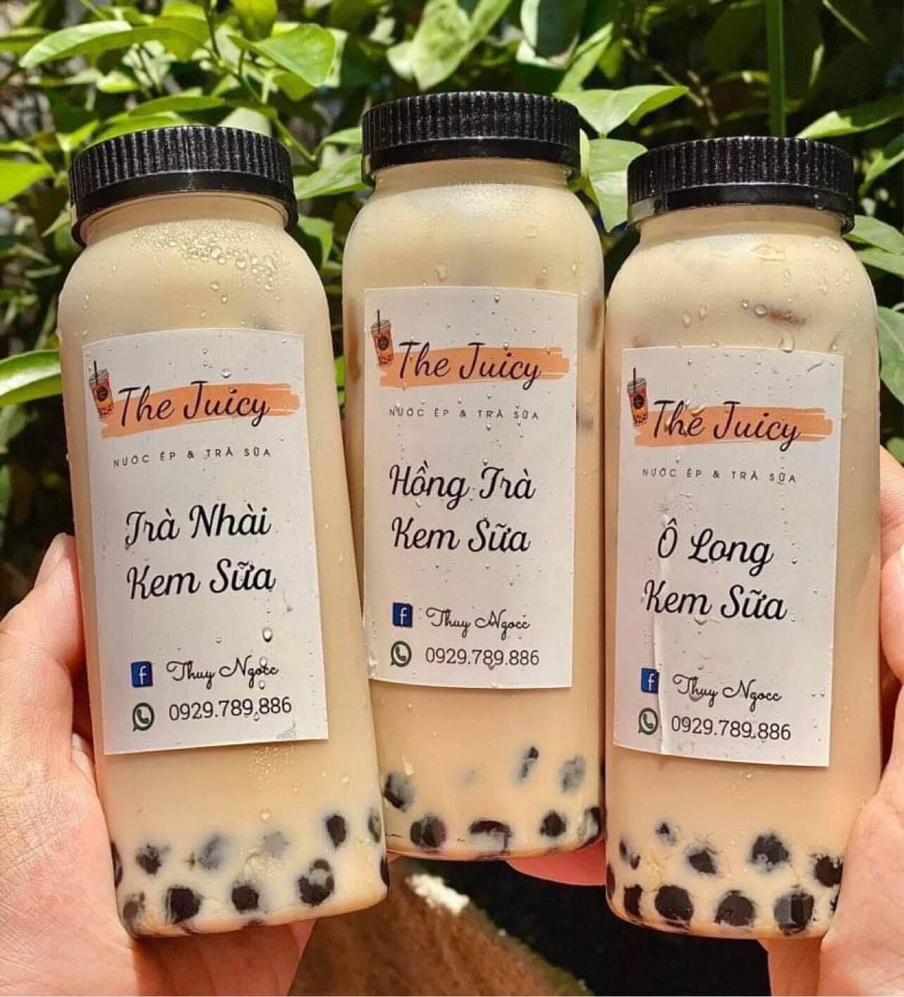 Chai nhựa 330ml, 500ml nắp vặn trong suốt