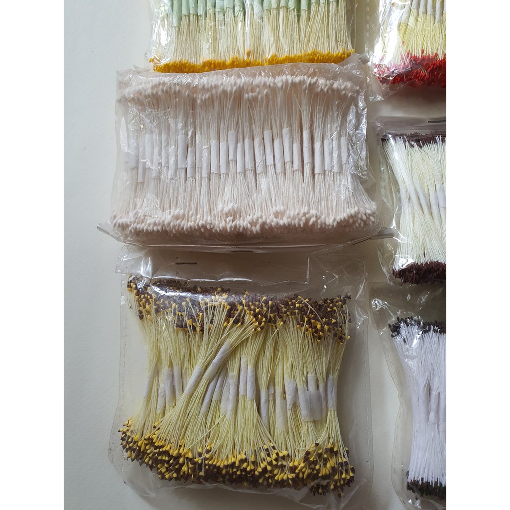 NHỤY HOA (NHỤY CHỈ) đầu nhỏ