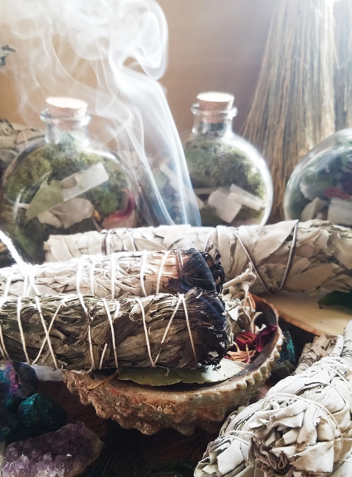 Xô thơm xanh - Blue sage - THẢO MỘC XÔNG NHÀ