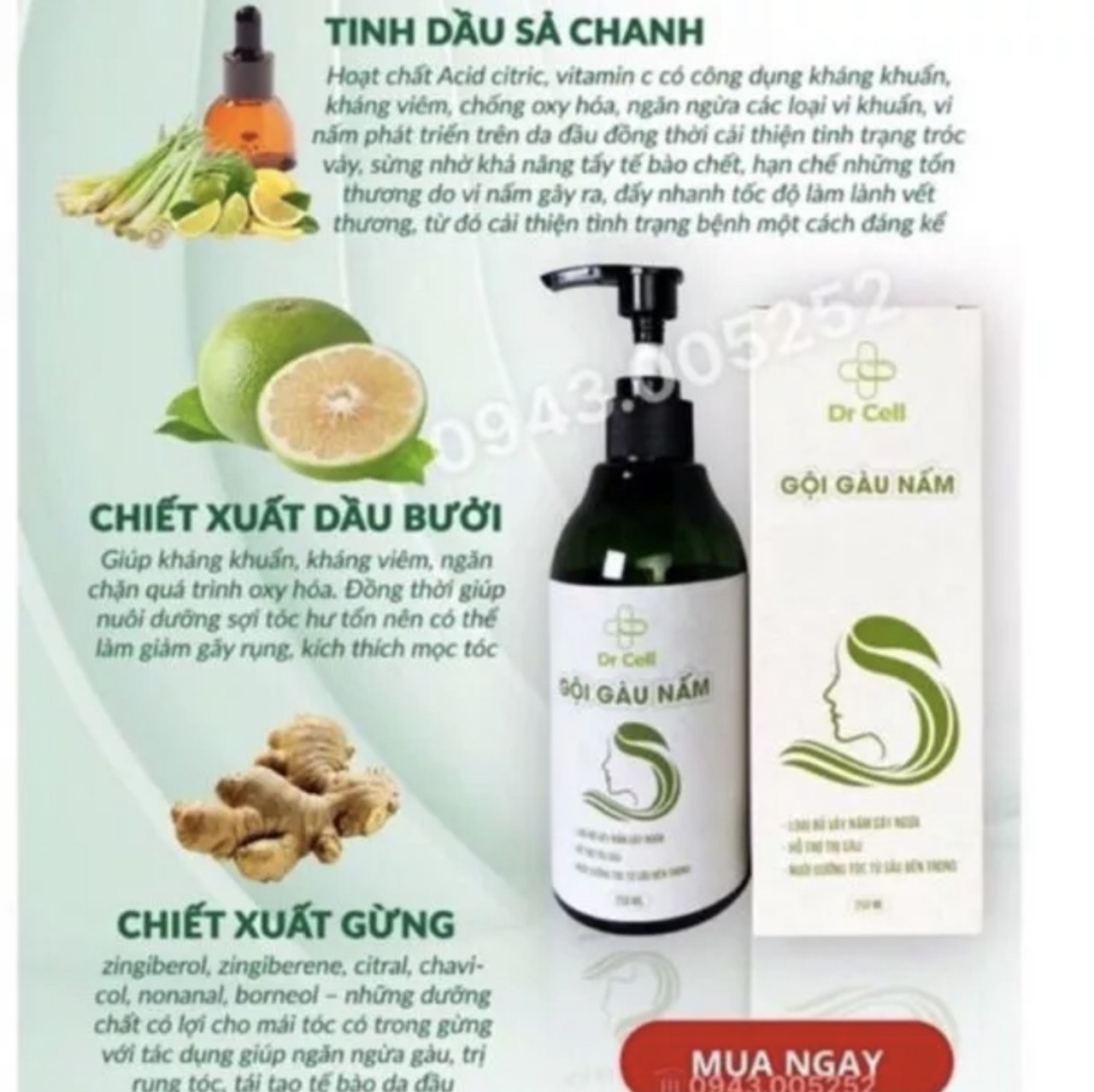 Dầu Gọi Nấm Dr Cell