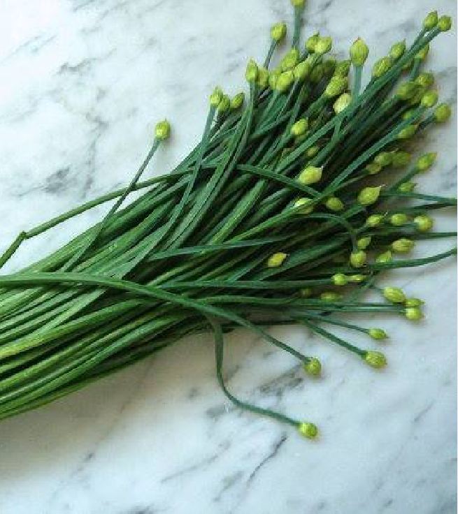 Hạt giống Rau Hẹ Ta Ăn Lá - 1 gói 2gram ( 600 hạt )