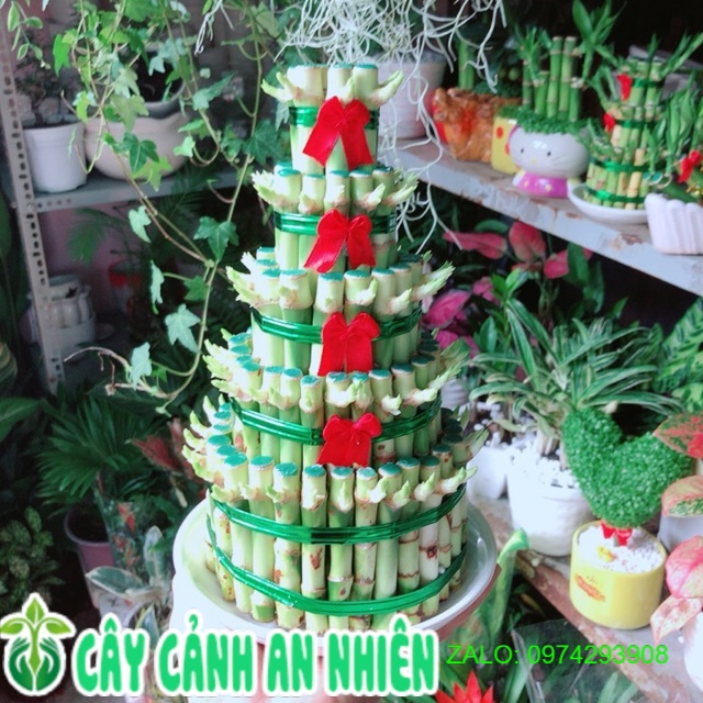 Phát tài 5 tầng