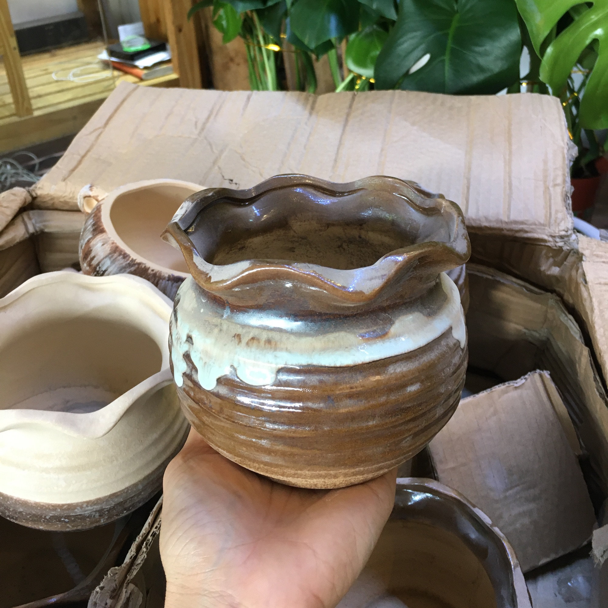 Chậu gốm sứ