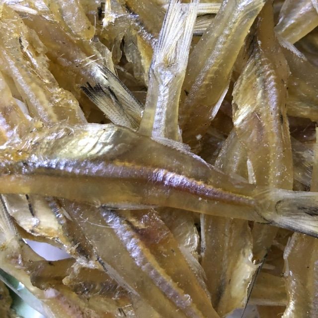 CÁ CƠM LOẠI 1 CON SIÊU TO PHÚ TÂN CÀ MAU