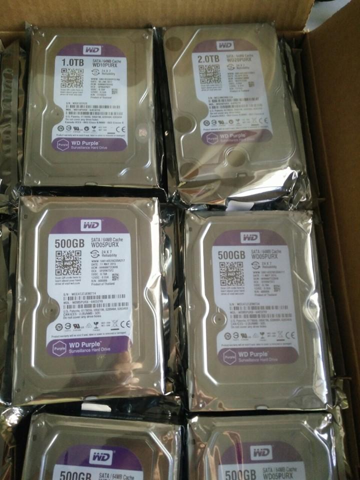 [HCM]Ổ cứng HDD 1TB WD PURPLE chuyên camera