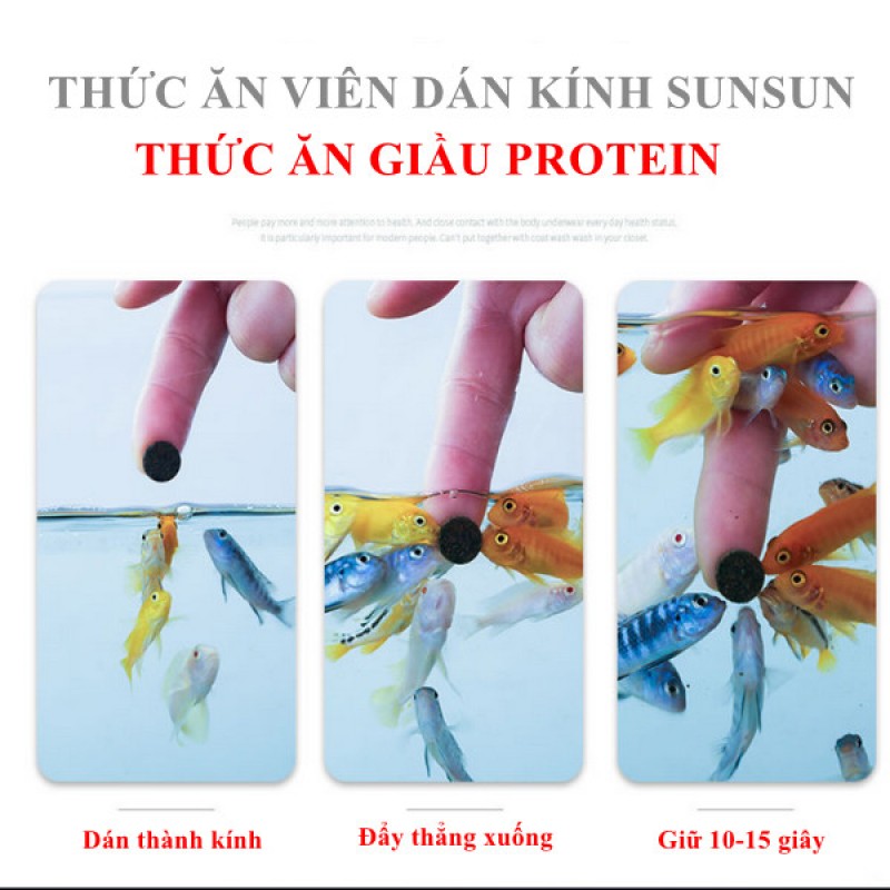 Cám Yee dán kính bể cá cho ăn tiện lợi