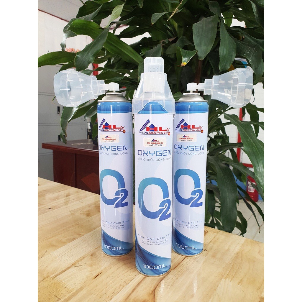 Combo 2 bình oxy mini cầm tay có sẵn nắp thở