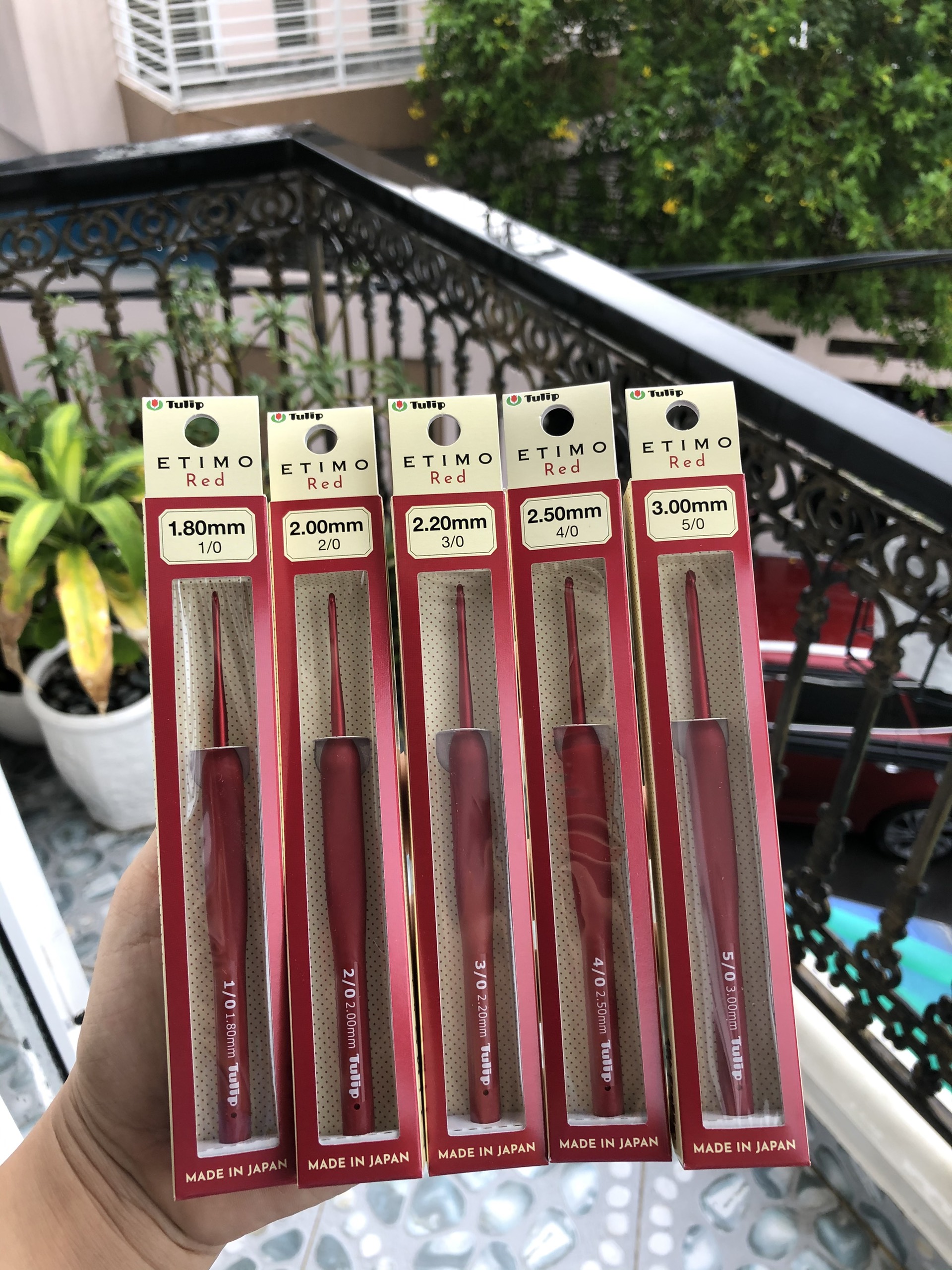 Kim móc tulip đỏ / tulip red lẻ size 185k/cây