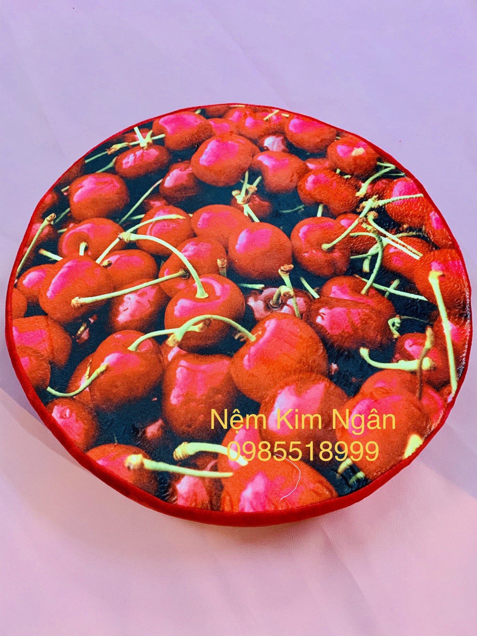 Nệm Ngồi Trái Cây