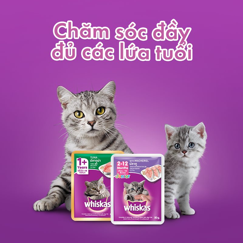 Pate mèo - pate Whiskas đủ vị - 85g/gói